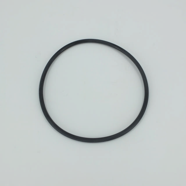 O-ring for black PK filter house